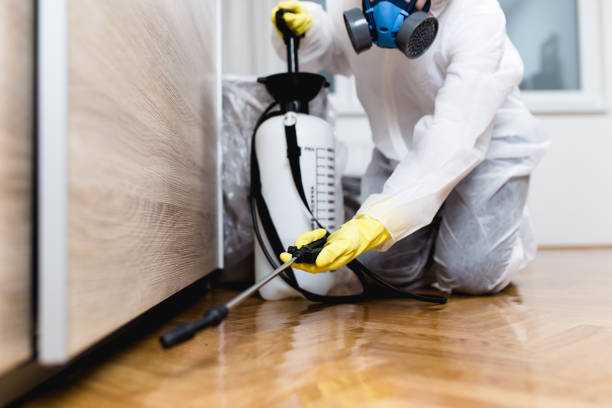 Best Affordable Pest Control Services  in Astor, FL