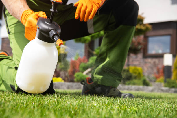 Wildlife Control Services in Astor, FL