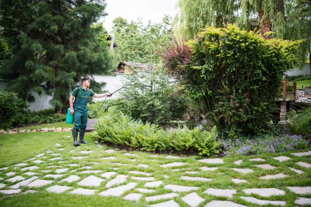 Professional Pest Control in Astor, FL