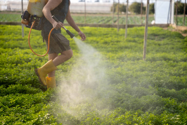 Pest Control Cost in Astor, FL