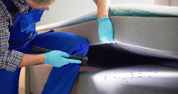 Best Local Pest Control Services  in Astor, FL