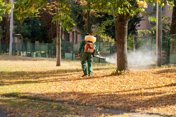 Flea Control Services in Astor, FL